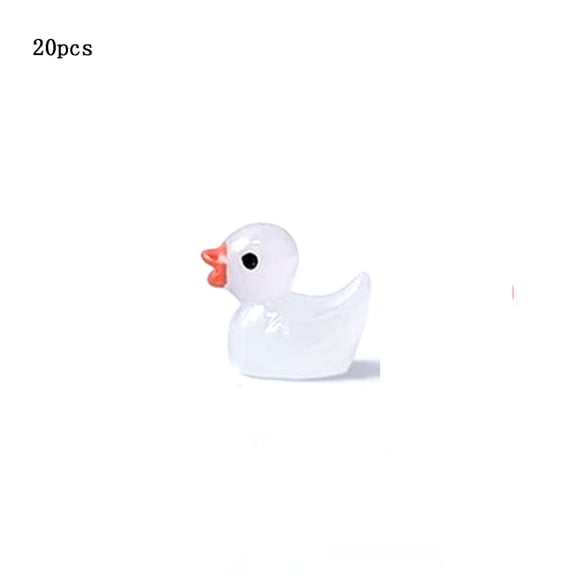 Glow In Dark Mini Resin Ducks, 20Pcs Luminous Duck Figurines, DIY Micro Landscape Decor for Potted Plants Party, Random Color