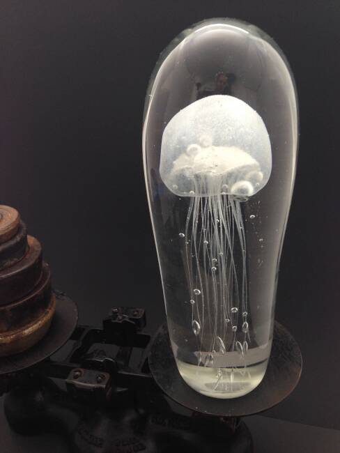 Glow In The Dark Glass Jellyfish Paperweight - Includes Illustrated ...
