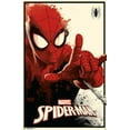 thumbnail image 1 of Glow - Marvel Spider-Man Glow-In-The-Dark Wall Poster,, 1 of 6