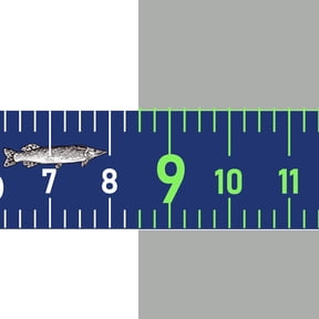 Measuring Tape Sticker