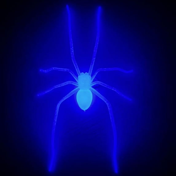 Glow in The Dark, Scary Halloween Decor for Home, Haunted House Decor, 1 Pack