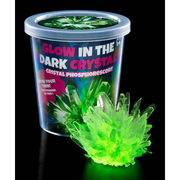 Glow in the Dark Crystal Growing Kit