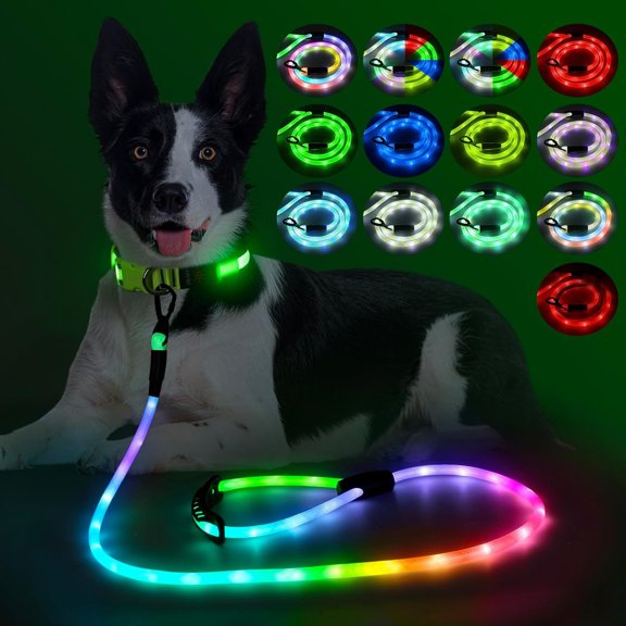 Glow-in-the-Dark Dog Leash, 8 Lighting Modes, Rechargeable for Night Walks, All Dog Sizes (Multi-Color, 5 FT)