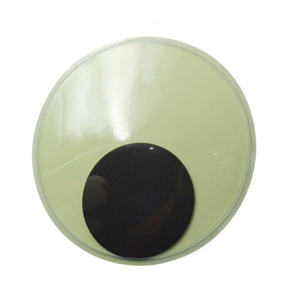 Glow-in-the-Dark Googly Eye, Self-Adhesive Plastic Craft Decoration, 4.72 Inches