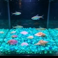 thumbnail image 1 of Glow in the Dark Pebbles, 100 Pcs Small Luminous Stones for Fish Tank Substrate, Aquarium Decor, Garden Landscaping, 1 of 6