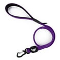 Glow in the Dark Waterproof 5/8" Wide x 4' Lengh Dog Leash Grey for