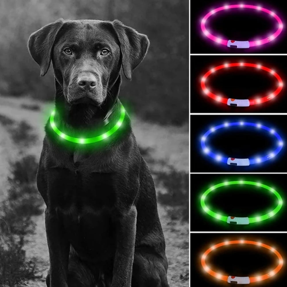Glow in the dark puppy collars hotsell
