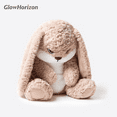 thumbnail image 1 of GlowHorizon Angry Bunu Bunny Plush Doll, Grumpy Expression Soft Stuffed Rabbit Figure, Cozy Plush Animal Decor for Sofa Bedroom Shelf Display, Cute Collectible Plush Gift, 1 of 7
