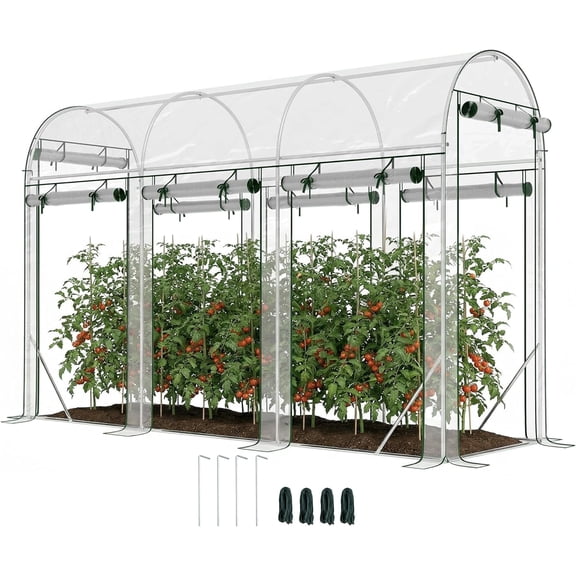 GlowPlume Walk-in Tunnel Greenhouse with Galvanized Steel Frame, 10' x 3' x 6.5' Hoop House, 8 Roll-Up Doors, Plant Hot House for Patio Garden Lawn, Clear