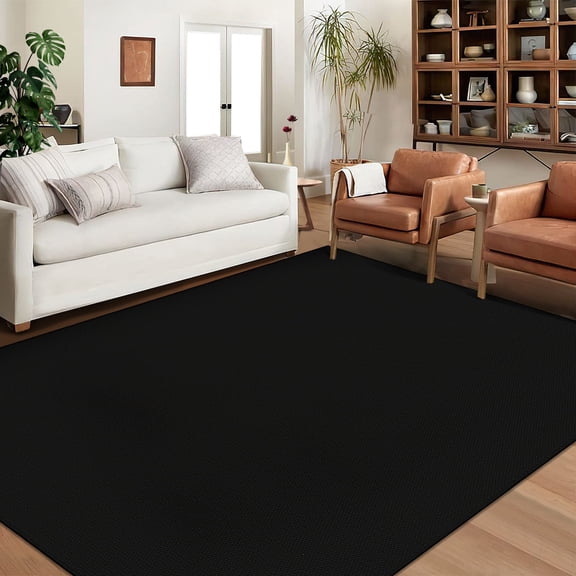 GlowSol 5' x 7' Modern Solid Area Rug Non-Shedding Stain Resistant Accent Rug Soft Foldable Floor Cover for Bedroom Home Office, Black