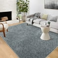thumbnail image 1 of GlowSol 5' x 8' Gray Area Rug Shaggy Area Rug Soft Fuzzy Plush Rug Non Slip Throw Carpet Modern Thick Rug for Living Room Bedroom Home Office, 1 of 7