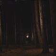 thumbnail image 1 of Glowcap, 1 of 1