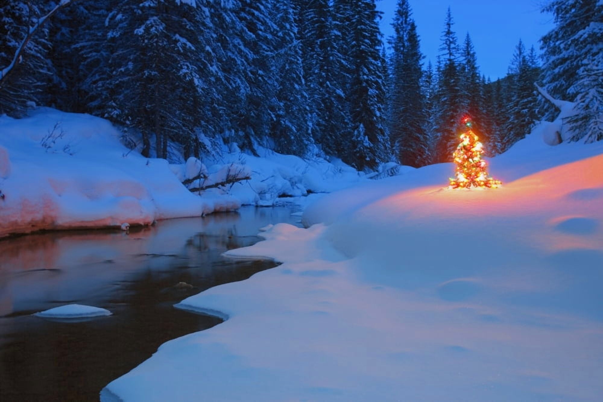 Glowing Christmas Tree By Mountain Stream Canvas Art - Carson Ganci Design Pics (17 x 11)