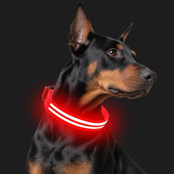 Glowing LED Dog Collar with Fiber Optics, ZzCityTK Rechargeable USB Pet Collar for Nighttime Walking, Waterproof Adjustable Light Up Safety Collar for Dogs, Red