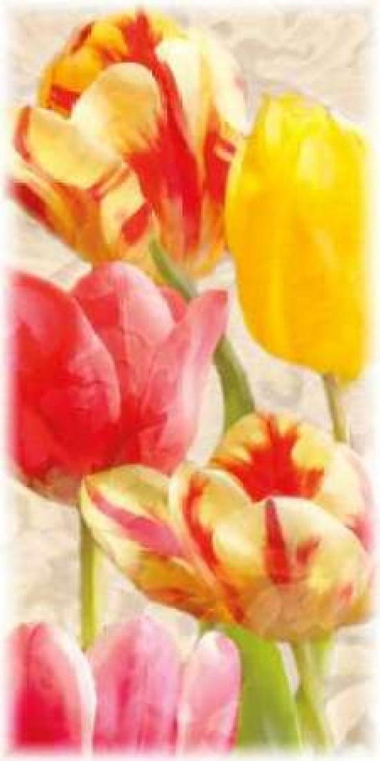 Glowing Tulips I Canvas Art - Janel Pahl (10 x 20)