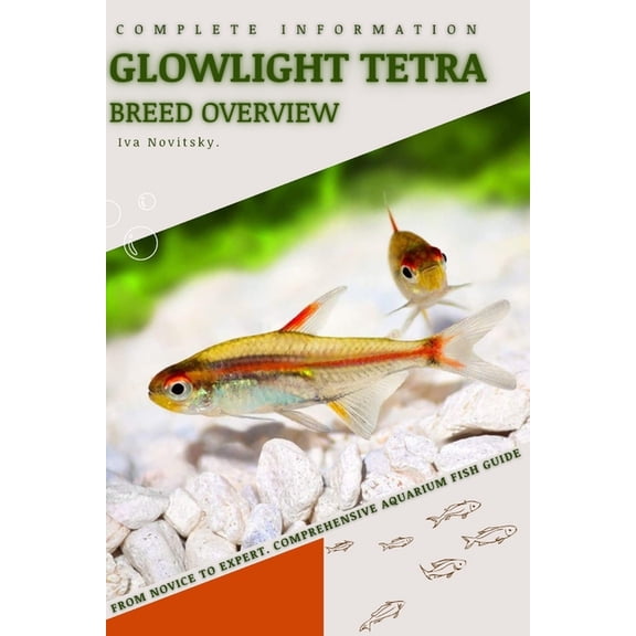 Glowlight Tetra : From Novice to Expert. Comprehensive Aquarium Fish Guide (Paperback)