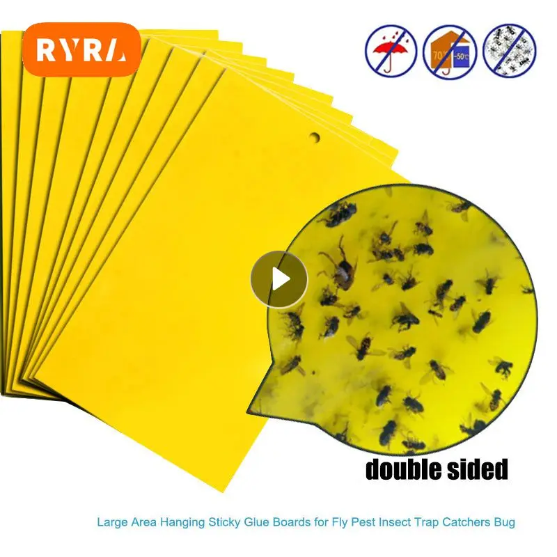 Glue Trap Catcher Sticky Boards Yellow Sticky Traps Eliminate Flies