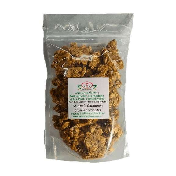 Gluten Free Apple Cinnamon Granola Snack Bites