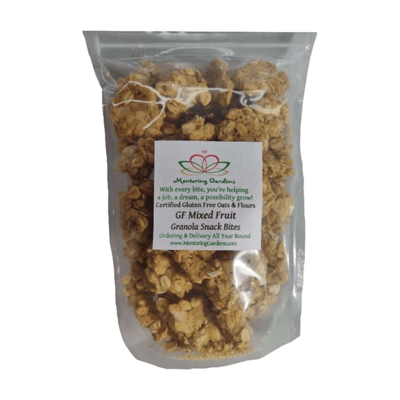 Gluten Free Mixed Fruit Granola Snack Bites