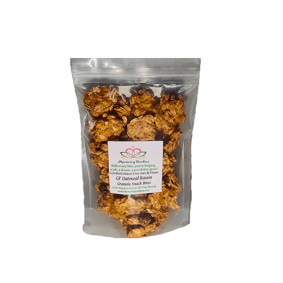 Gluten Free Oatmeal Raisin Granola Snack Bites