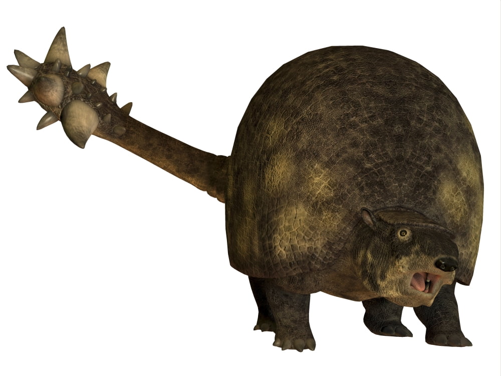 Glyptodont is a large mammal that lived during the Pleistocene epoch Canvas Art - Corey FordStocktrek Images (17 x 13)