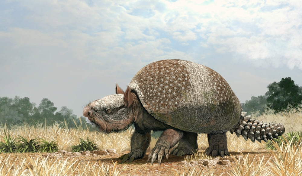 Glyptotherium arizonae a North American megafauna Canvas Art - Roman Garcia MoraStocktrek Images (19 x 11)