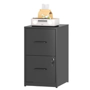 Glyxxen 2 Drawer File Cabinet with Lock, Metal Vertical Filing Storage Cabinet for Home Office, Fit Letter/A4/Legal Size File, Black