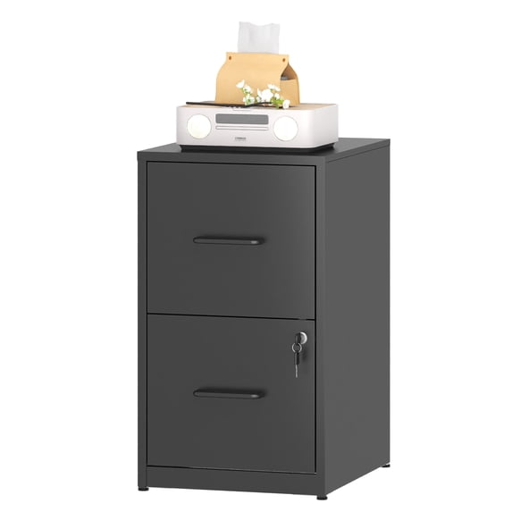 Glyxxen 2 Drawer File Cabinet with Lock, Metal Vertical Filing Storage Cabinet for Home Office, Fit Letter/A4/Legal Size File, Black