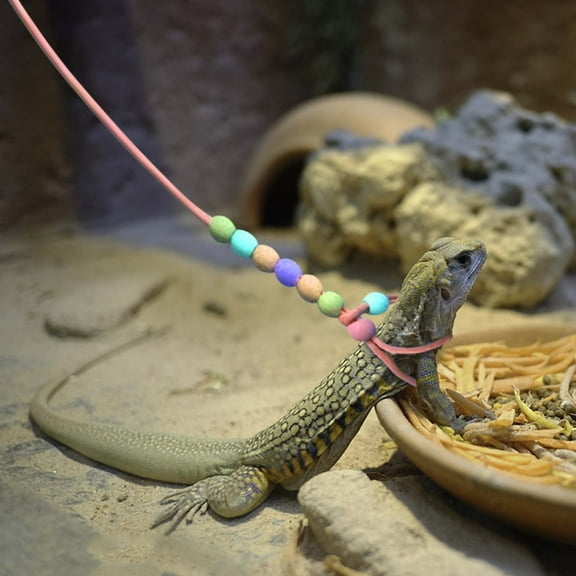 Gmogad Adjustable Luminous Lizard Leash for Small Pets, Reptile Traction Rope with Night Light for Walking Chameleon Iguana Hamster, Soft Nylon Harness for Outdoor Supervision