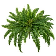 GnFlus Artificial Fern 33.5" Dia Boston Fern Fake Outdoor Plants Moss Large Artificial Plants with 60 Fronds Hanging Greenery Faux Ferns Shrubs Home Garden Porc