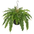 thumbnail image 1 of GnFlus Artificial Fern Plants Hanging Greenery Faux Ferns with Basket 25"Boston Fern 31 Leaves Fake Fern Indoor Outdoor Potted Plants bathroom Home Office Decor Dusty Green, 1 of 7