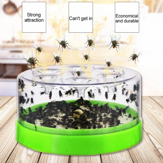 Gnat Killer for Indoor, Fungus Gnat Trap for Kitchen/Home, Fruit Fly Killer Indoors