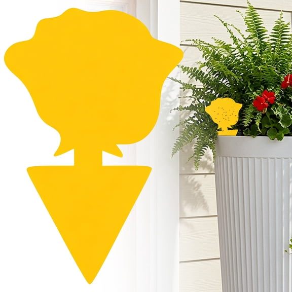 Gnat Sticky Traps for Plants Sticky Traps for Gnats Disposable Sticky Traps Indoor Houseplant Gnat Traps Dual Sided Sticky Bug Traps House Plant Flying Traps