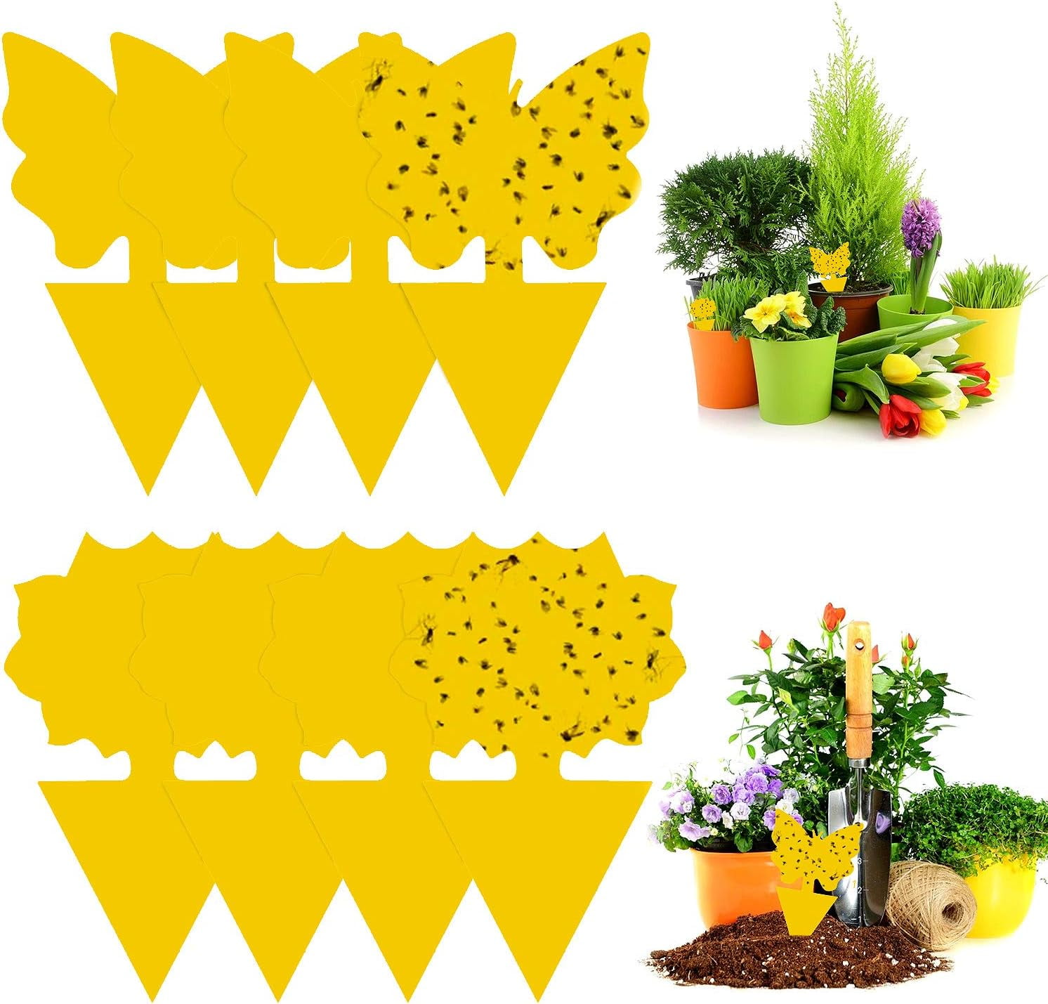Image showcasing Fruit Fly Trap, Economical And Excellent Weather Resistance - Walmart.com