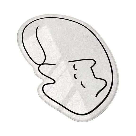 Gnmfd Cute Non-Slip Bath Mat Runner Soft Absorbent Floor Rug for Bathroom Bedroom Kitchen Shower Standing Comfort Anti-Fatigue Easy-Clean Decorative Home Use Blanket Storage Blanket for Bed