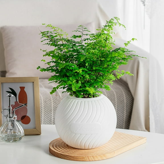 Gnmfd Hydroponic Small Potted Plant Pots Indoor Living Room Desktop Flower Planters, Self-Watering Decorative Vase for Home Office Study Green Plant Lovers Seasonal Table Decor