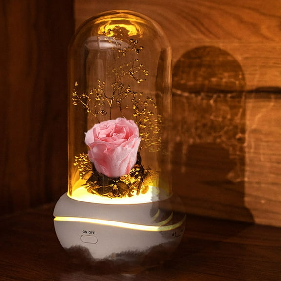 Gnmfd LED Rose Night Light Aroma Diffuser Silk Eternal Flower Humidifier for Bedroom Living Room Spa Yoga, Fragrant Oil Ultrasonic Mist Lamp for Relaxing Sleep Romantic Gift Decoration Use