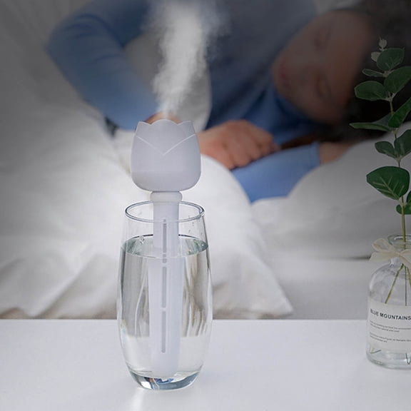 Gnmfd USB Desktop Humidifier Large Capacity Atomizer Double Spray Mode Auto Shut Off Portable Mist Maker Air Diffuser For Home Office Travel Bedroom Moisturizing LED Night Lights For Room Decor