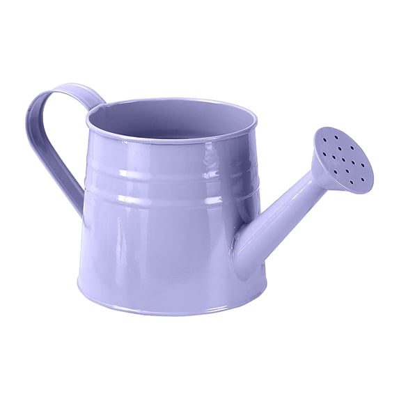 Gnwei Watering Can for Indoor Outdoor Plants, Modern Small Watering Cans with Removable Nozzle, Long Spout Watering Can for Indoor Bonsai Plants Garden Flowers 1 Gallon 4L
