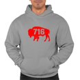 thumbnail image 1 of Go All Out 716 Area Code City Of Buffalo New York Pride Sweatshirt Hoodie Mens/Women, 1 of 4