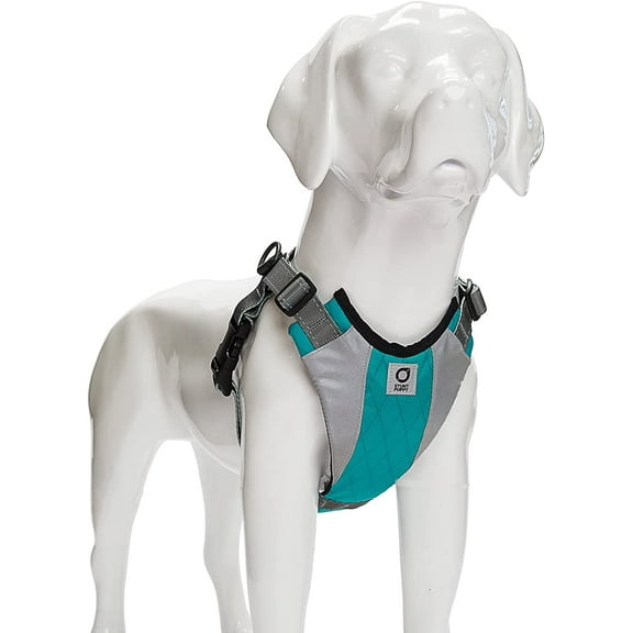 Go Dog Glo Harness, Large, Teal