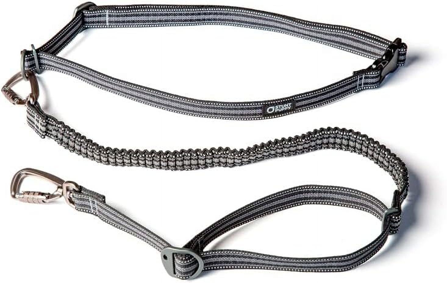 Go Dog Glo Runner Hands-Free Leash, Black
