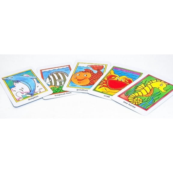 Go Fish Flash Cards- Braille