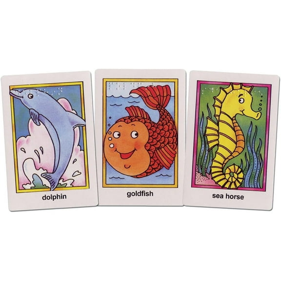 Go Fish Flash Cards - Braille
