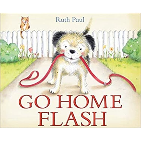 Pre-Owned Go Home Flash (Hardcover) 1492615234 9781492615231