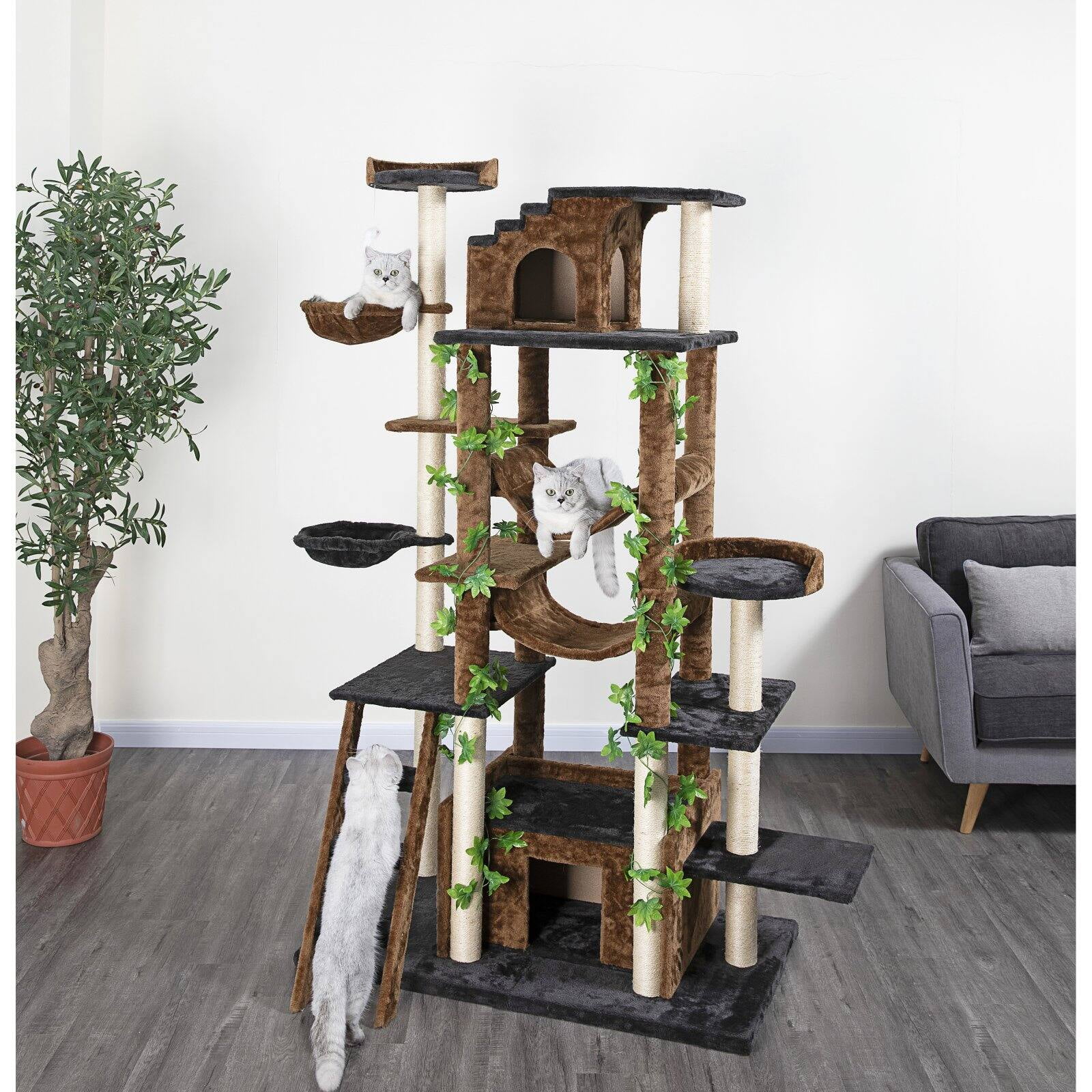 Cat Gyms