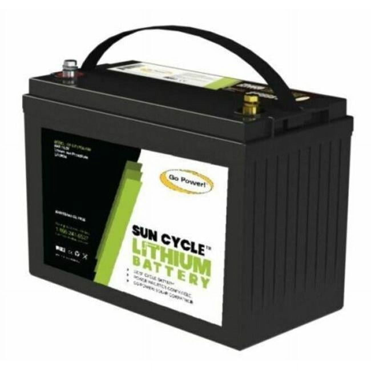 Go Power GPO82738 12V 100A Lithium Iron Phosphate Solar Battery