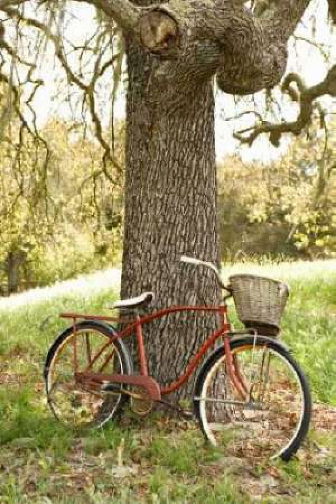 Go by Bike II Canvas Art - Karyn Millet (12 x 18)