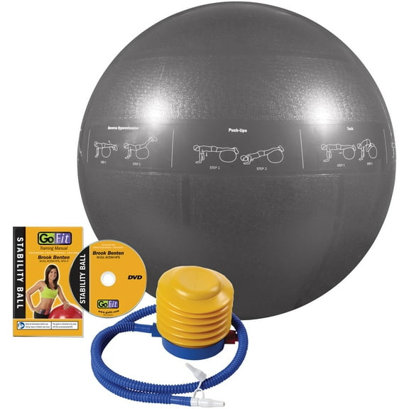 GoFit Pro Grade 75 cm Stability Guide Ball with Pump, Silver, GF-75PRO