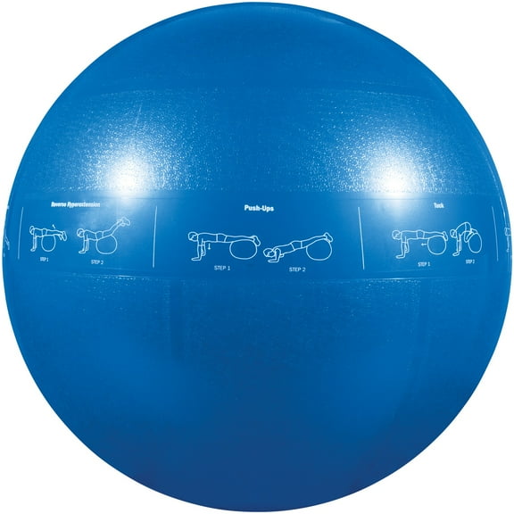 GoFit Pro Grade Stability Guide Ball with Pump (55cm; Blue), GF-55PRO